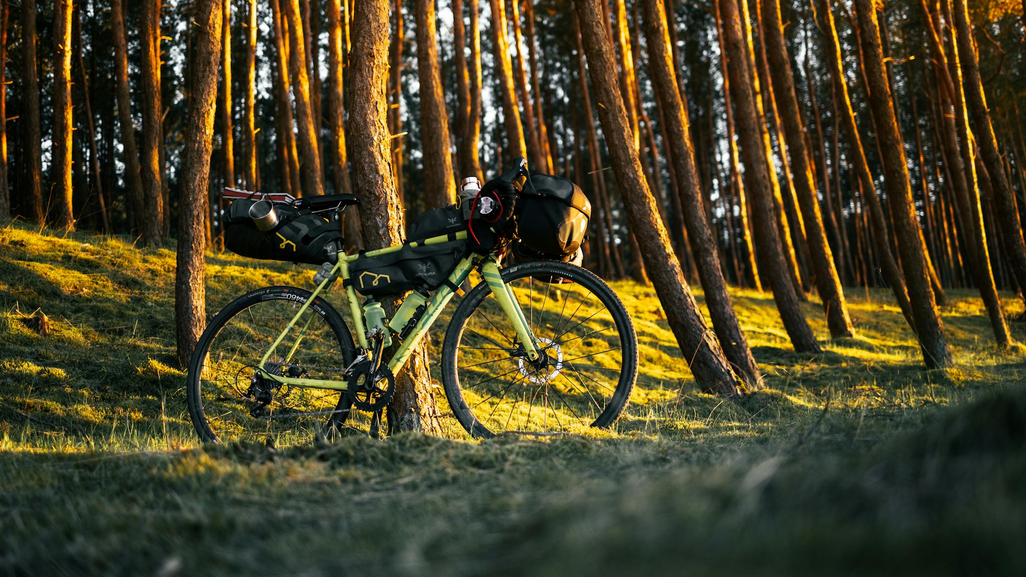 A bikepacking adventure in a sunlit Polish forest, capturing exploration essence.